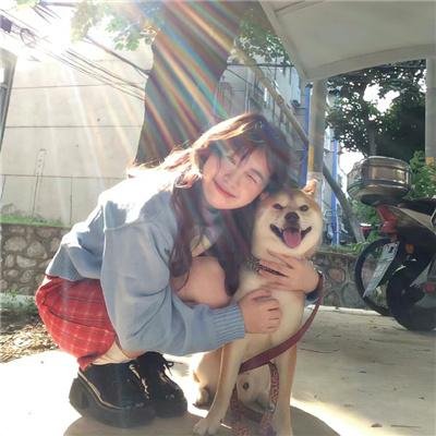 厉少夫人微微甜